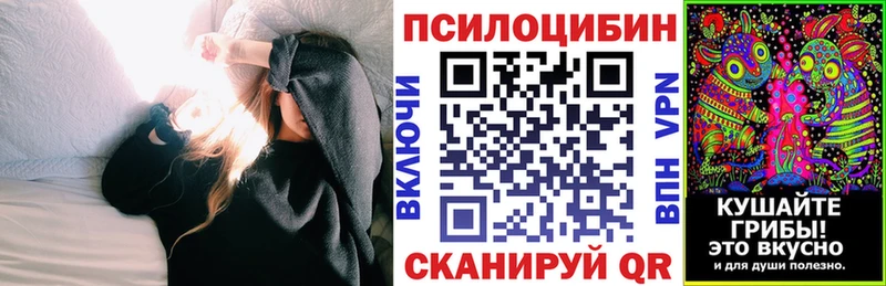 Купить закладки  Демидов  Галлюциногенные грибы мицелий 